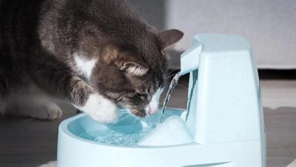宠物饮水机如何实现缺液提醒