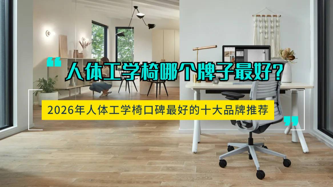 人体工学椅哪个牌子最好？2026年人体工学椅口碑最好的十大品牌推荐