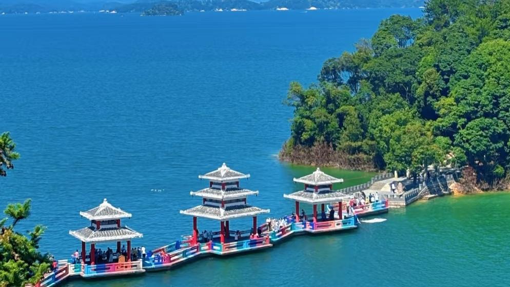 广东河源26岁初中女教师，向往大城市生活，想辞职去广深闯荡可否