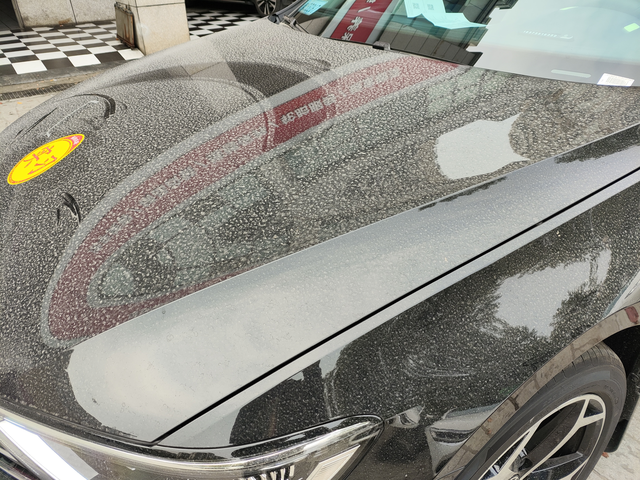 洗车是不可能洗车的大自然馈赠的星空脸
提车十天已经变成了星空车身了