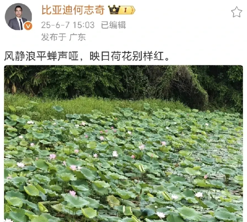 比亚迪何志奇发微疑似隔空回应某车企高管言论
车圈大战白热化，利利上蹿下跳，本来躲