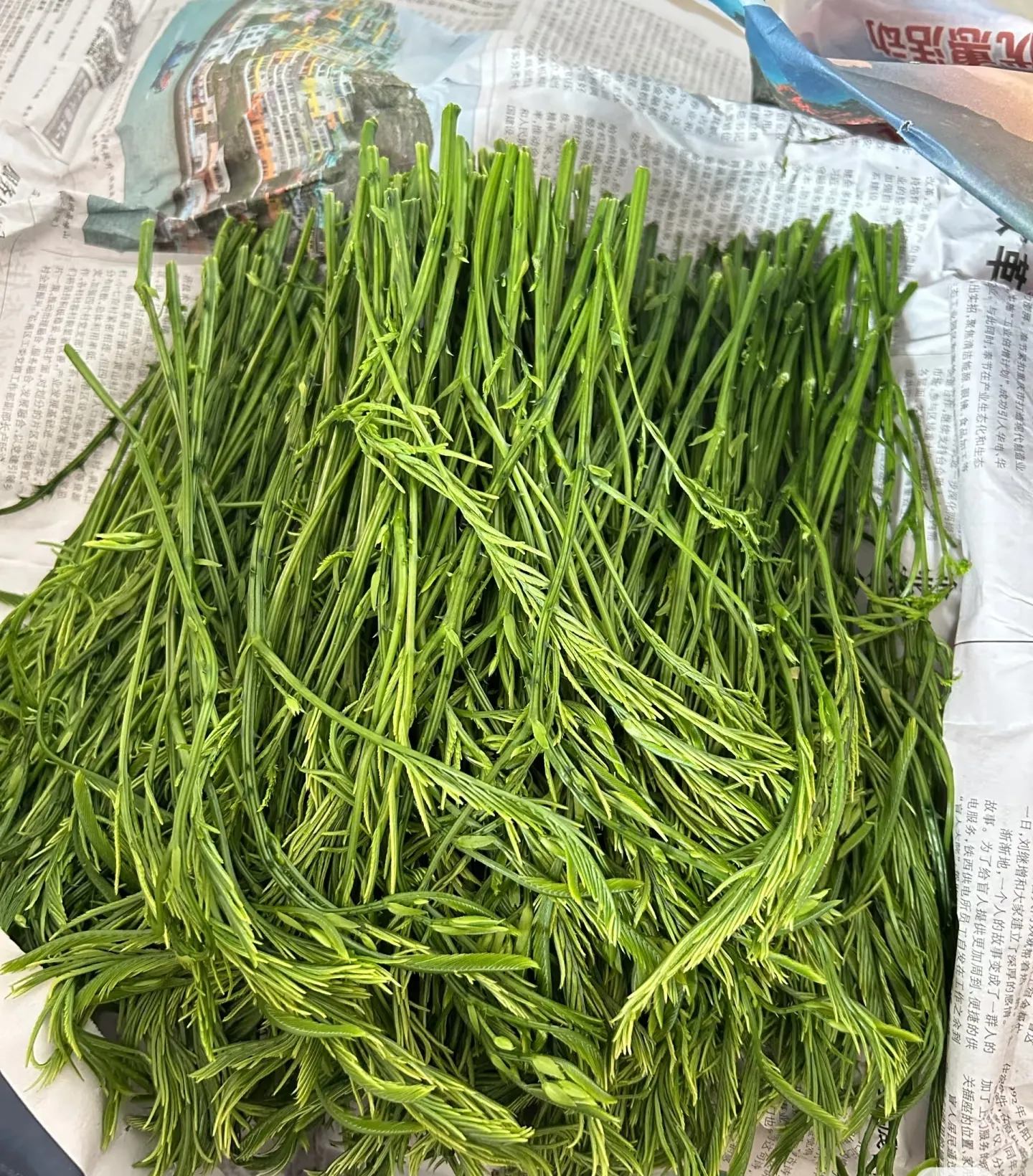 来个云南朋友来看看，
这是什么啊？
同事天天念叨的臭菜，
到底是什么菜啊？
这个