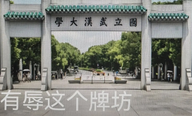武汉大学杨景媛案十问

1、事发后3天，杨景媛告到辅导员那里，辅导员上报，处理的
