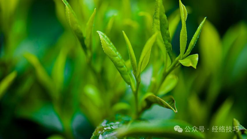 一个冬天睡前“偷懒”的方法，在被窝里用脚搓5分钟，一股暖流从脚底灌注全身，一觉踏实睡到天亮