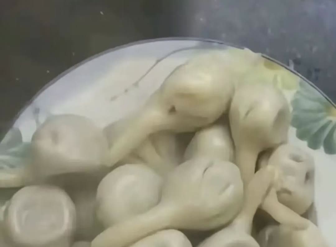 河北，有一名女子中午想要吃饺子，便和了些面，调了些馅，打算中午包。可是，快到中午