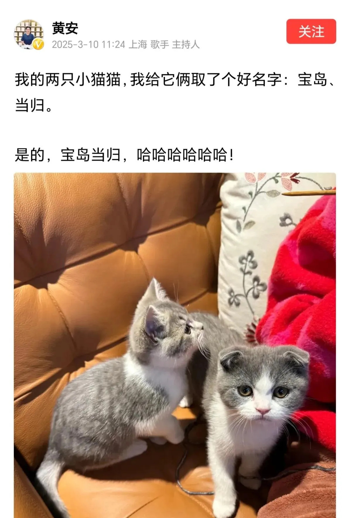 黄安搬家福州定居











我的天哪！黄安居然把台北的家都搬空了，这