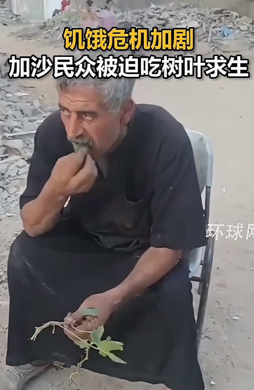 太可怜了！



加沙一位大爷坐在废墟旁，拿着树叶往嘴里塞，看到拍摄者，他瞟了一