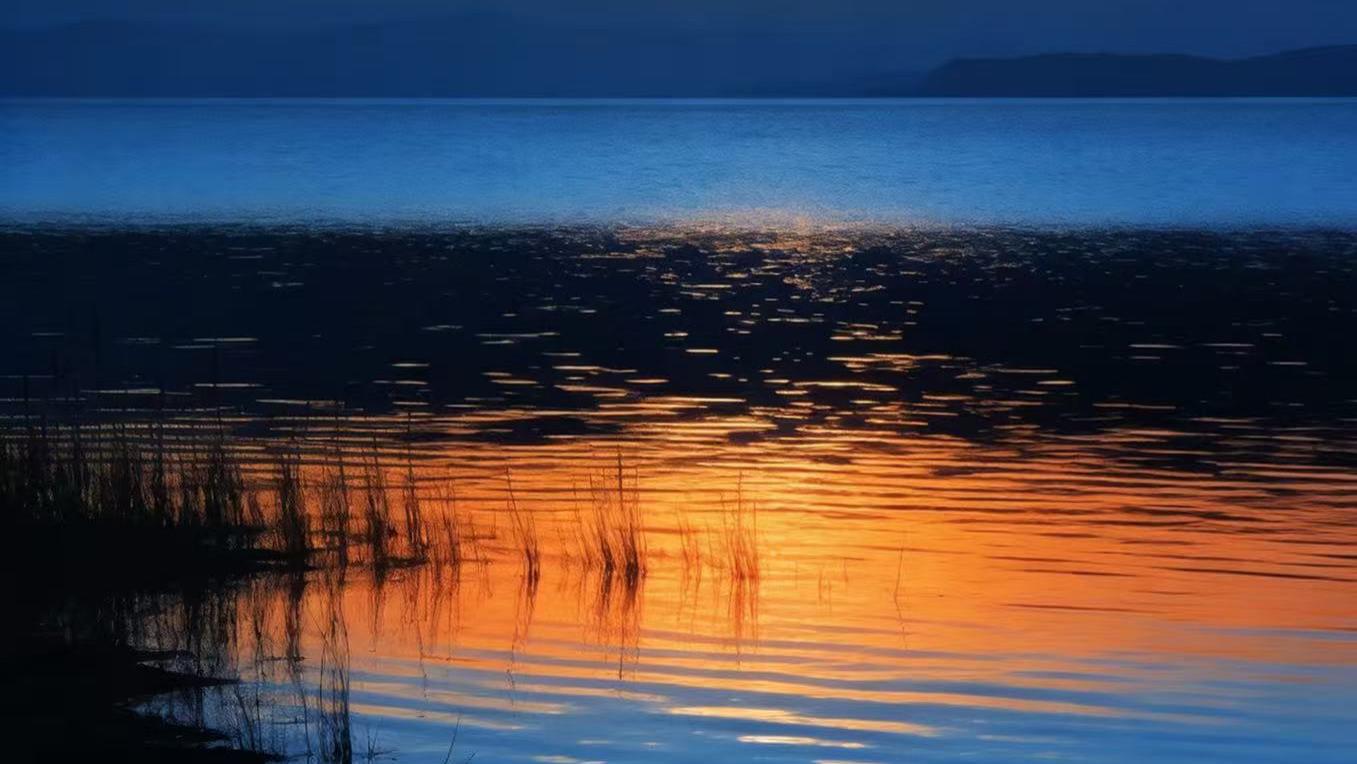 针对施压、账外账、亲属占位、缺岗评优：织金教育举报案曝多重违规乱象