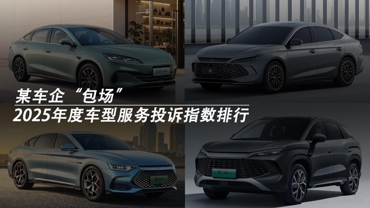 2025年度车型服务投诉指数排行：某车企“包场”