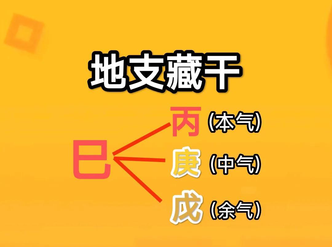 《地支藏干巳火解析》
地支巳火，五行属阴火，方位东南，季节农历四月(立夏至芒种)