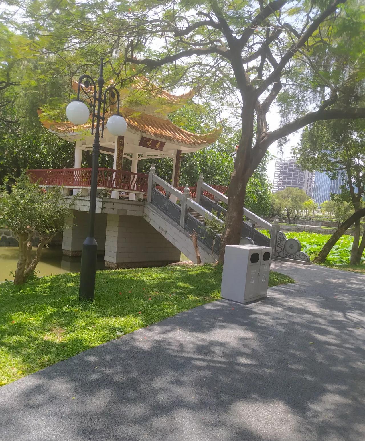 我很棒，我会读书写文章，我还会洗衣服做饭。
不要以为这两件事很容易，很多会读书写