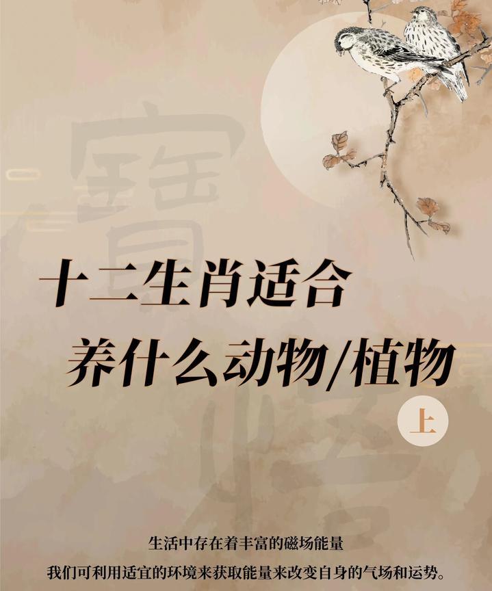 十二生肖适合养什么动物/植物？