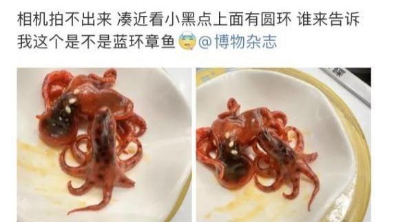 含剧毒无解药，这种东西不能吃，高温烹煮也无用，误食极可能死亡