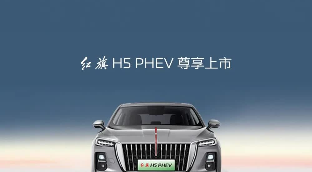 听我一句劝，2025买车不纠结：
日常通勤，选纯电；
家庭出行，选混动；

