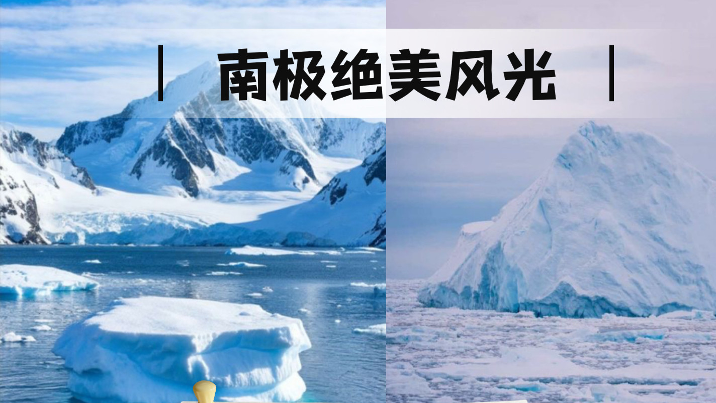🐧2026南极新年｜海神号冰海探春17天#朝闻旅行I南极春节