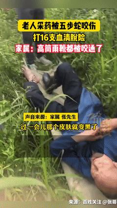 “防不胜防！”80岁老人上山采药，明明穿了高筒雨鞋，却被五步蛇咬穿！120冲到山