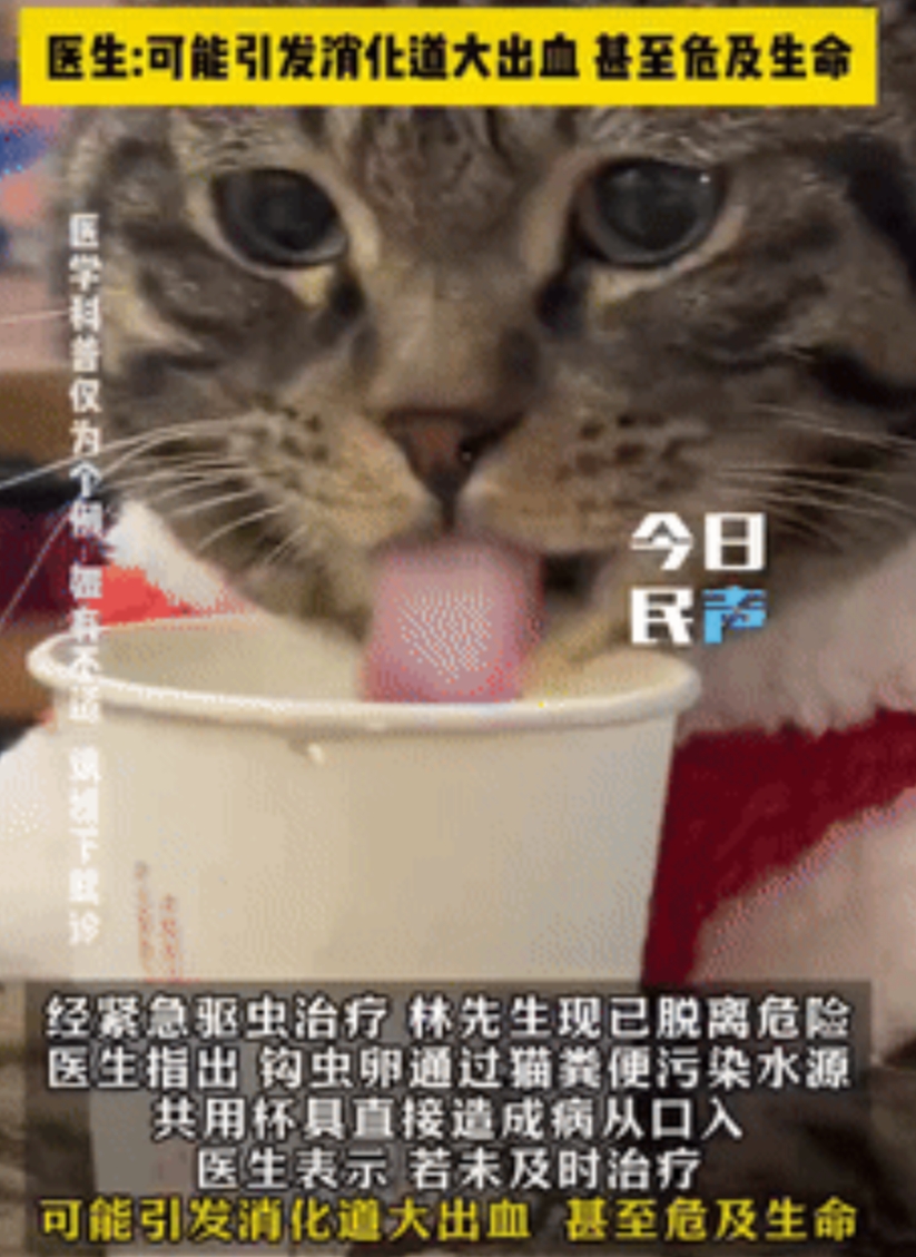 自己把自己害惨了！福建福州，一男子收养了一只流浪猫，因为过于大大咧咧，竟然敢和猫