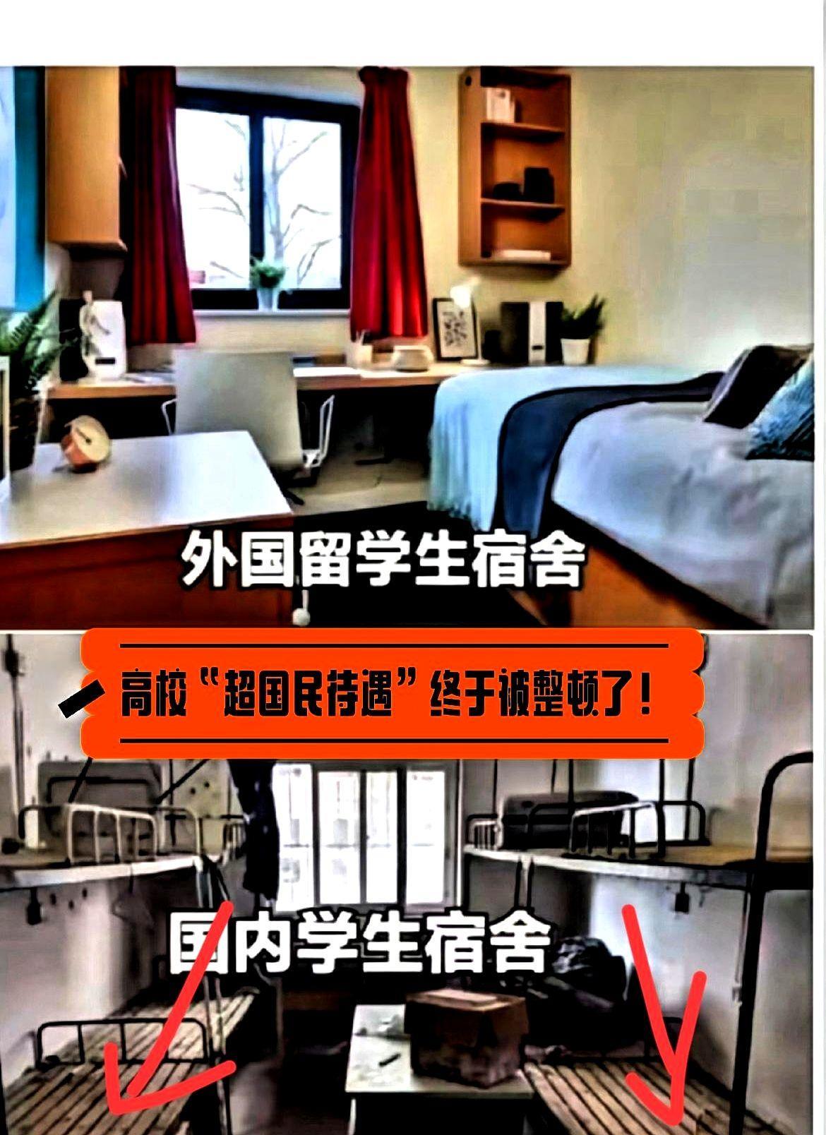 本校学生被留学生群殴，处理结果却是主犯退学、从犯仅警告？
寒了多少本土学子的心！