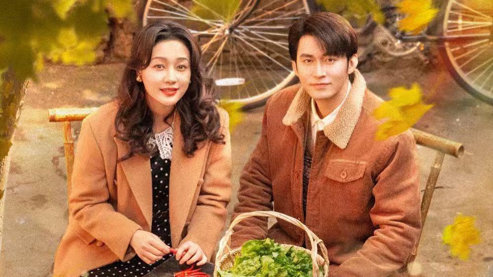 高清短剧《家里家外》短剧完整版全79集资源--在烟火气中书写家庭的温暖与力量