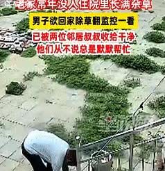 “远亲不如近邻！”河北，一男子老家荒废满院子杂草，原本想着回老家拔草，结果人还没