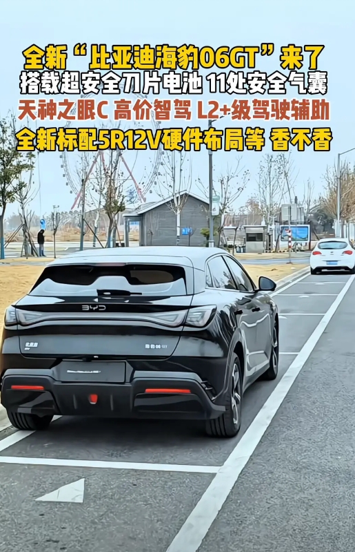 全新