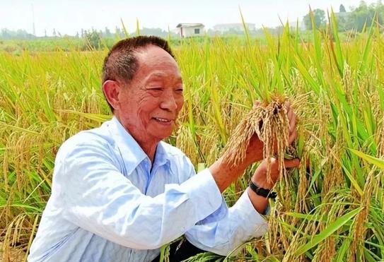 “必须严惩卖国贼！”国家安全部最新消息披露：境外间谍竟然把黑手伸向了我们的饭碗！