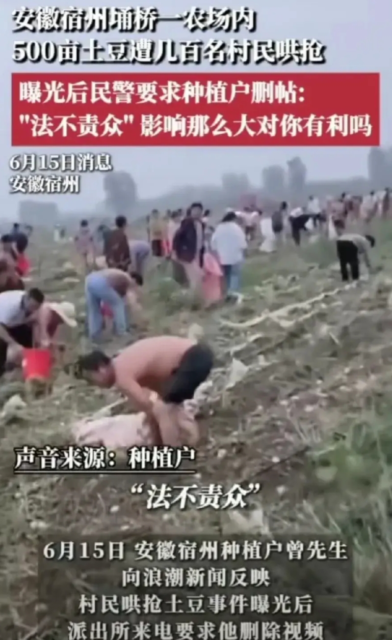 这事闹的有点大了，一句“法不责众”，将“抢土豆”事件推上了热搜，且被大家称之为，