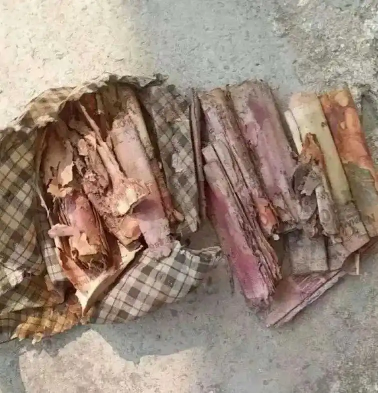 狗叼回来的，我能宣布不认识此狗吗？