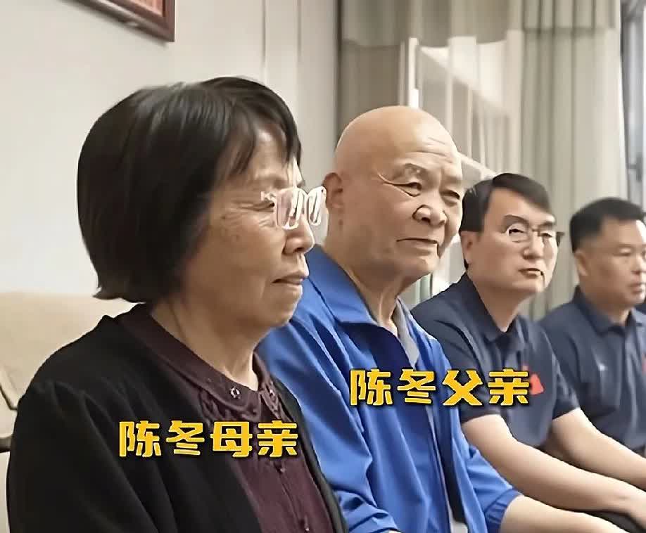 陈冬的父母实在是太优秀了，一看便知他们是高级知识分子，普通话说得极为标准。

