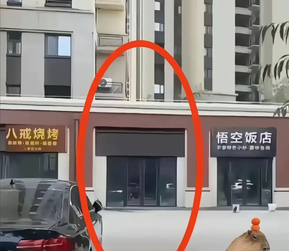 我瞅中个商铺，在“八戒烧烤”和“悟空饭店”中间，开店梦要成真咯！但我愁坏了，不知