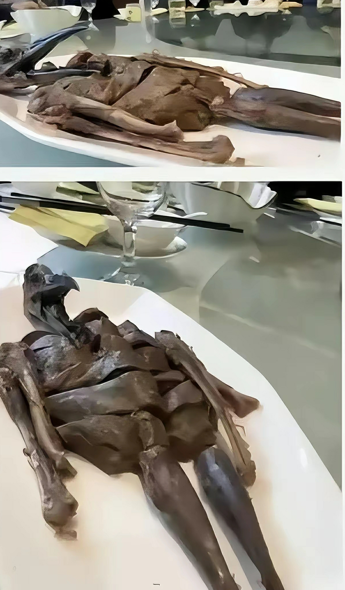 把厨师叫来，谁教他这么摆盘的！