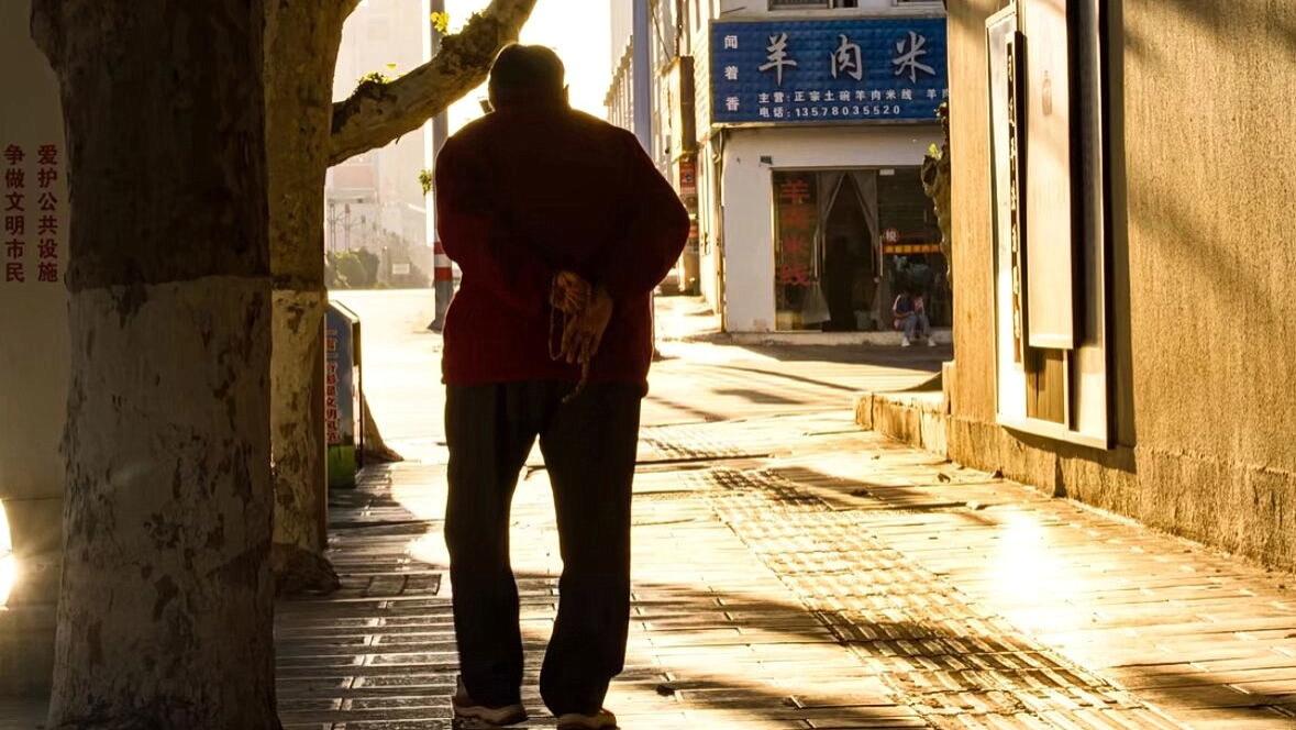 树荫下的独行