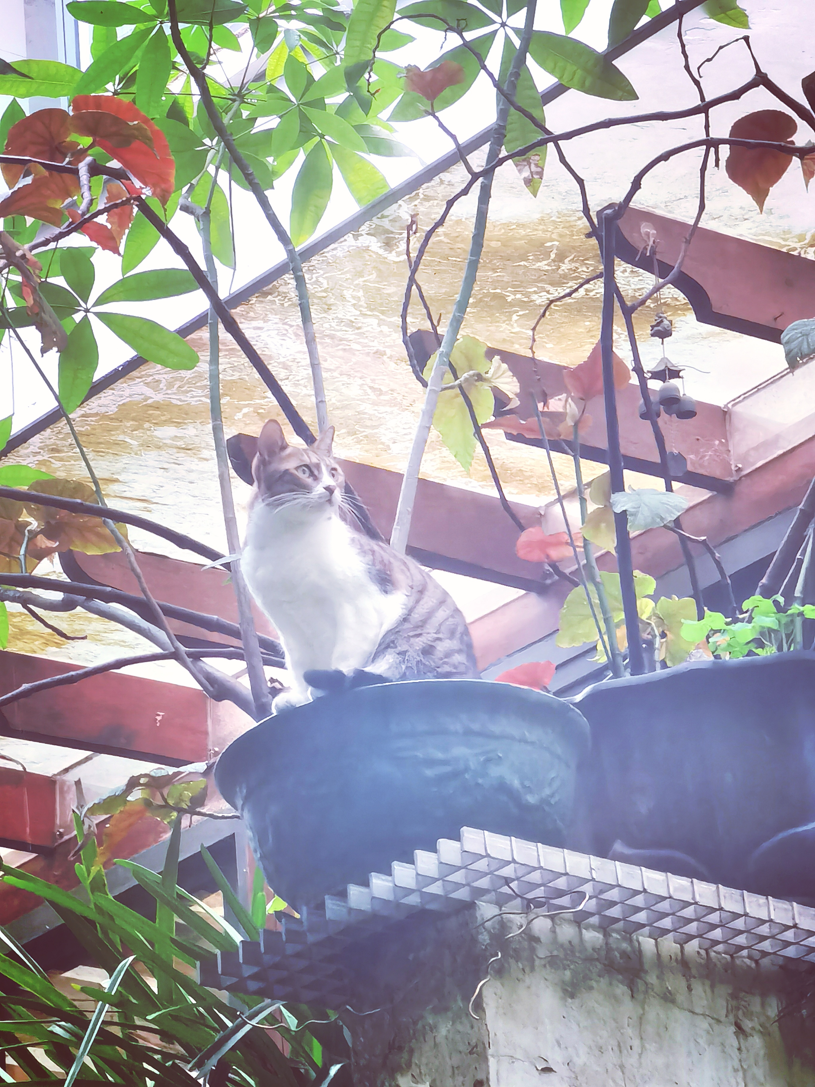 阴翳蔽日时，恰应坤卦“地势坤，君子以厚德载物”。天地敛阳入土，非为沉寂，实藏生生