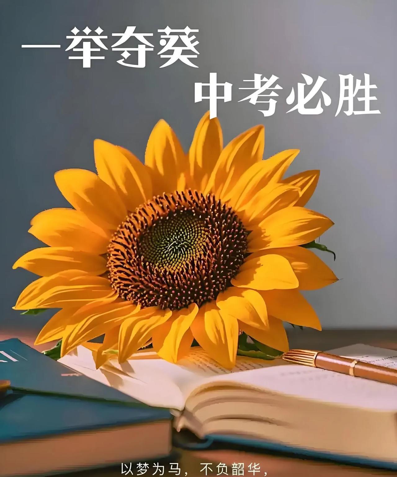天津今天中考，昨天下午就接到手机短信提醒：【温馨提示】尊敬的客户您好！2025年