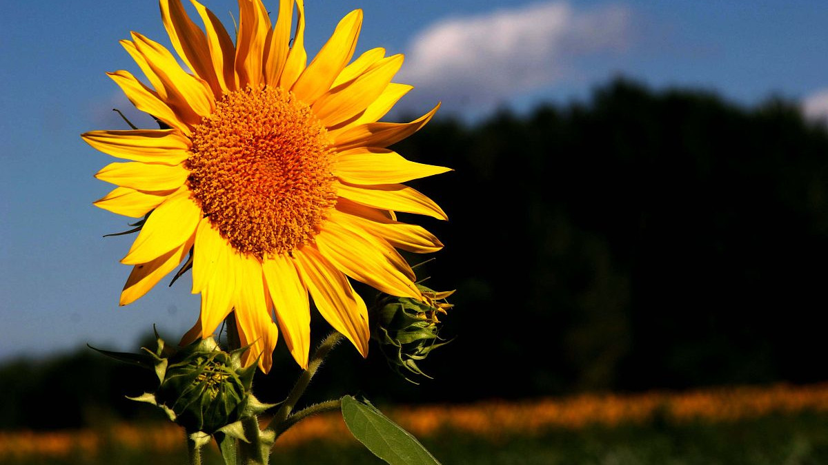 冬天到了，怎么给客户发点暖心又不套路的问候?