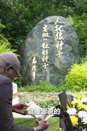 “泪目了！”，6月11日，湖南长沙，来自冈比亚的农民穆萨.达博来到袁老的墓前，他