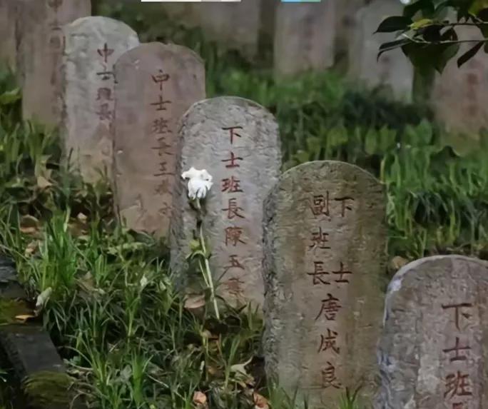 云南腾冲国殇墓园，9168位抗日先烈长眠在这里，先辈们，安息吧！祖国与人民深深的