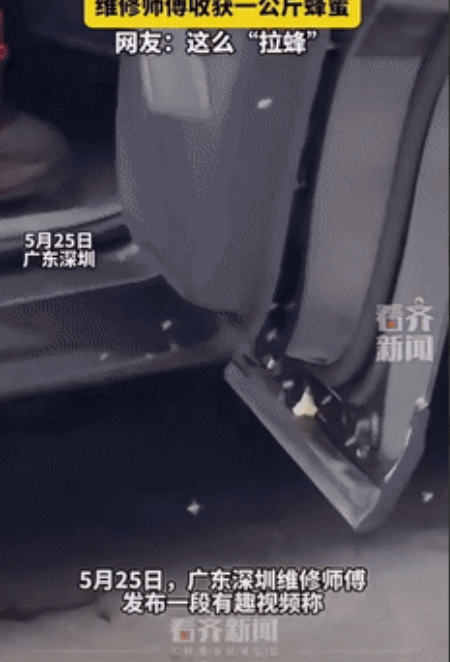 运气太好了！广东，男子将车子停在了农村老家，不料2个月过后去修车，维修师傅一打开
