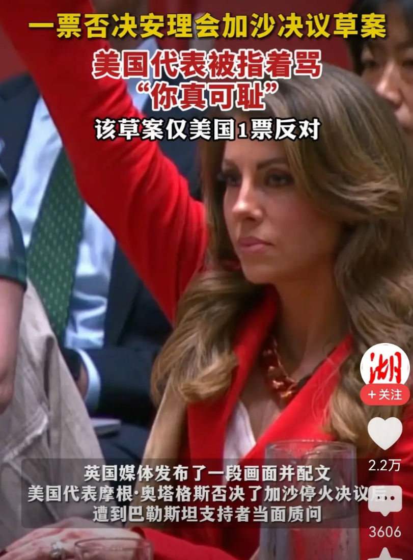 美国一票否决安理会加沙停火决议草案后，美国代表离开会场时被指着骂“你真可耻”！不