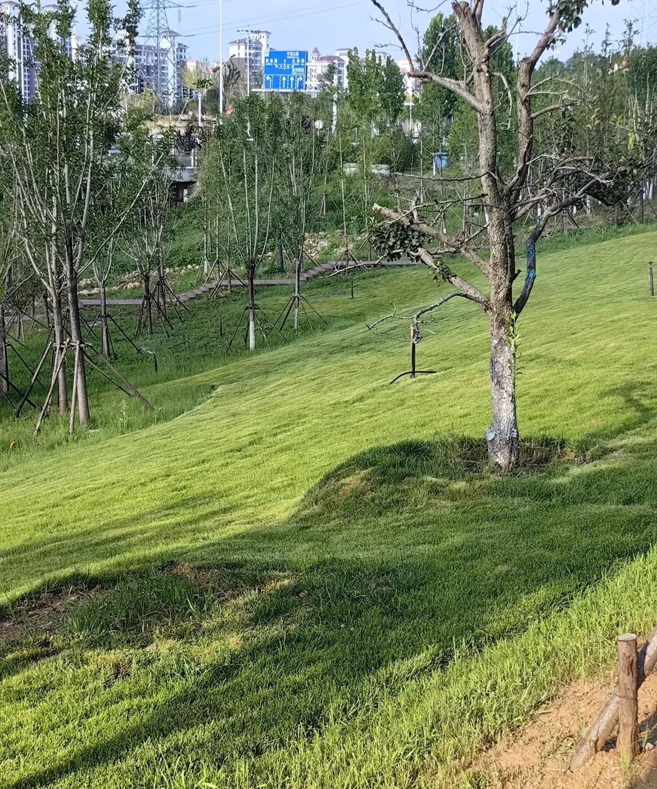 我的老家虽然是一个小县城，但是有钱人特别的多，当然很多也是自称的。
最近，年轻人