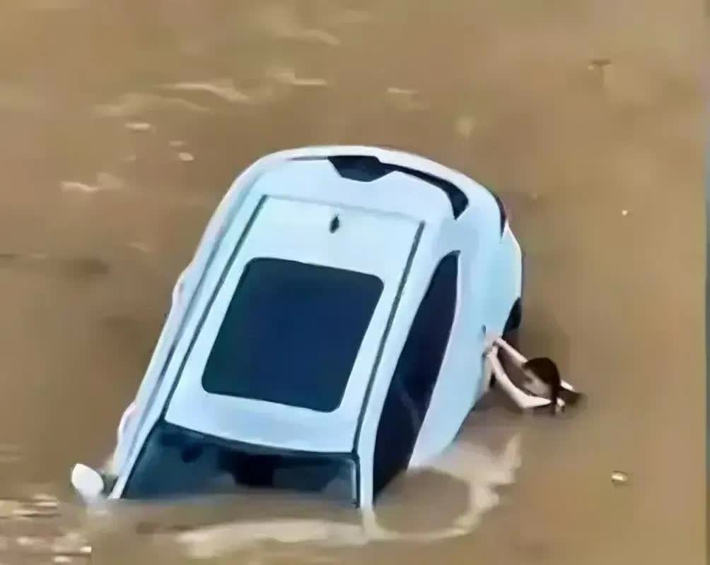 看到广东东莞女子驾车坠河，

绝望地等待救援，最终送医不治身亡，

我赶