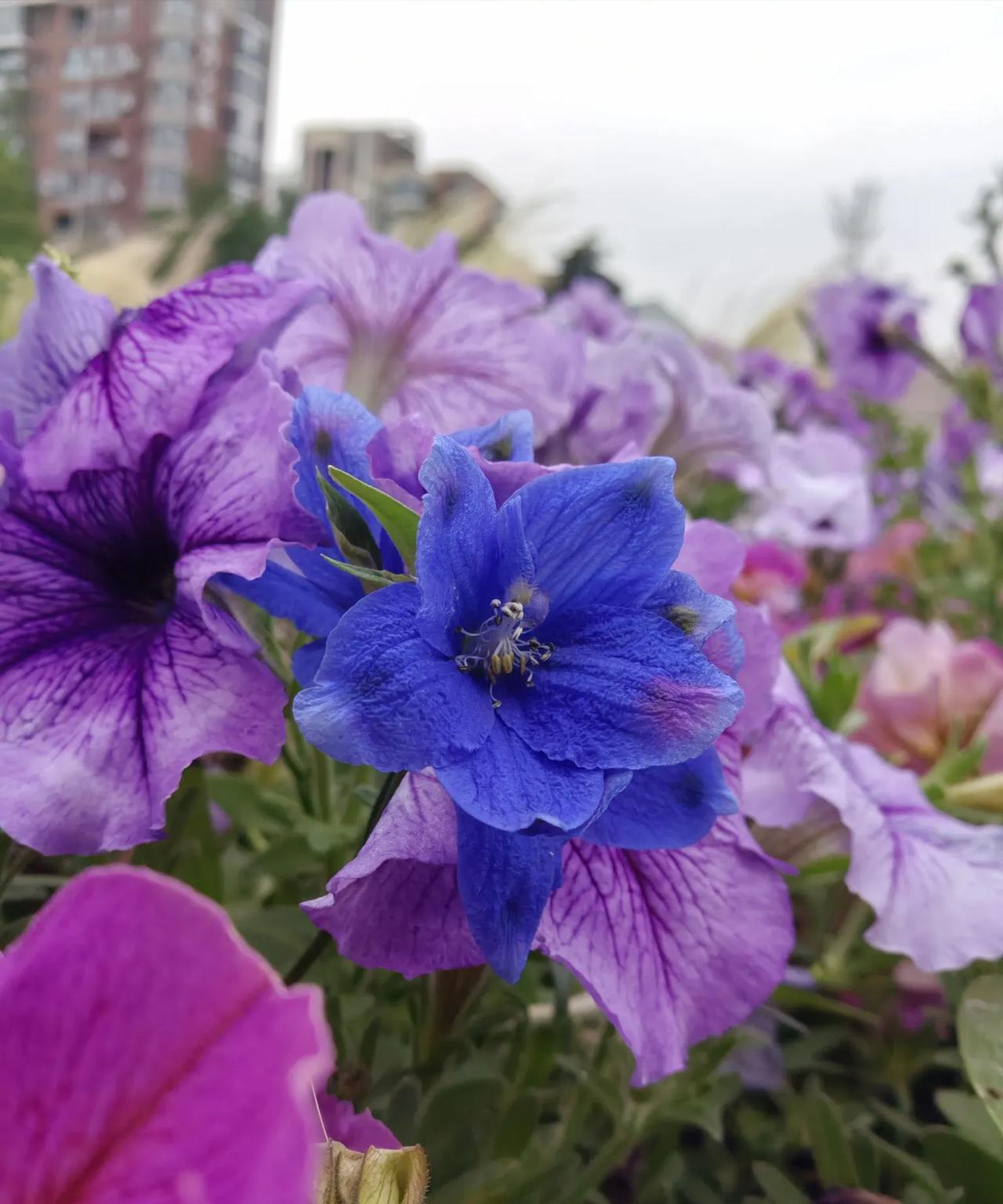 我和闺蜜一起去爬毛公山，闺蜜做过肺部手术，为了加强锻炼身体，我经常陪她去爬山。爬