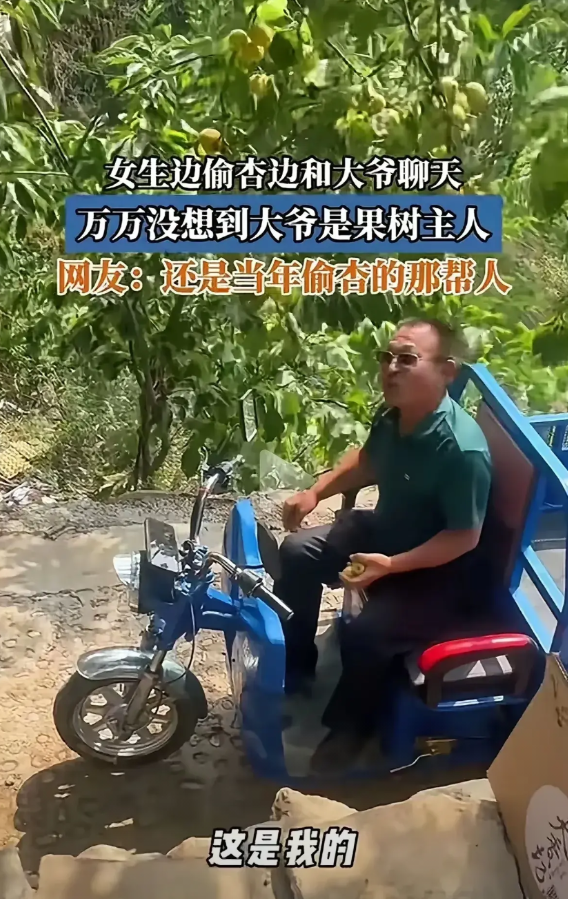 几个女子偷杏被果农抓住的视频火了。

事情是这样的，几个女子有说有笑地偷杏，还有