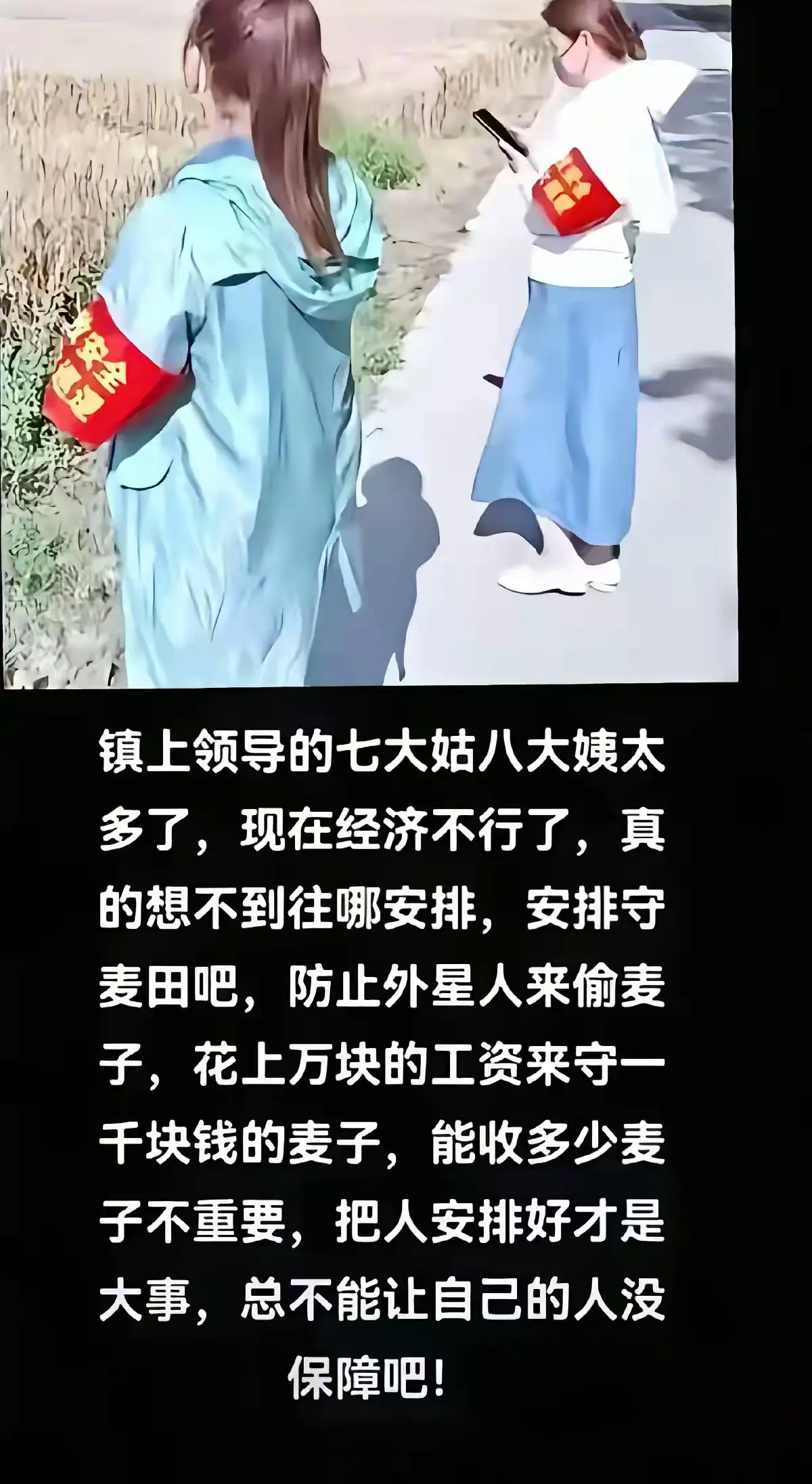 谁敢偷麦子，就放狗咬！！
