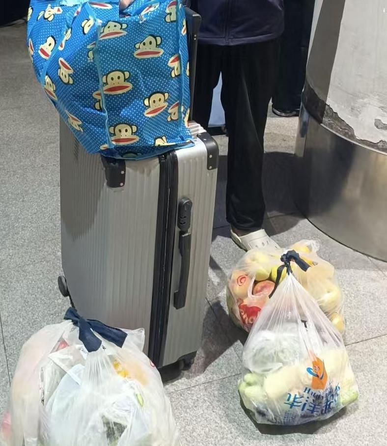 昨天，我到大连给儿子做饭，我二弟到大连给姑娘看孩子。临走前，我妹妹到自己家菜地里