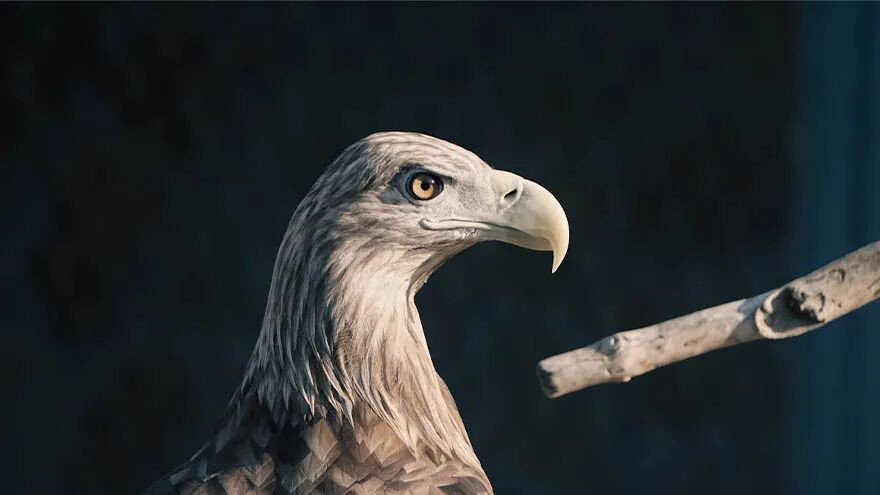 4-7 不孝子，高衙内！对于古人的谩骂，偏印只是微微一笑