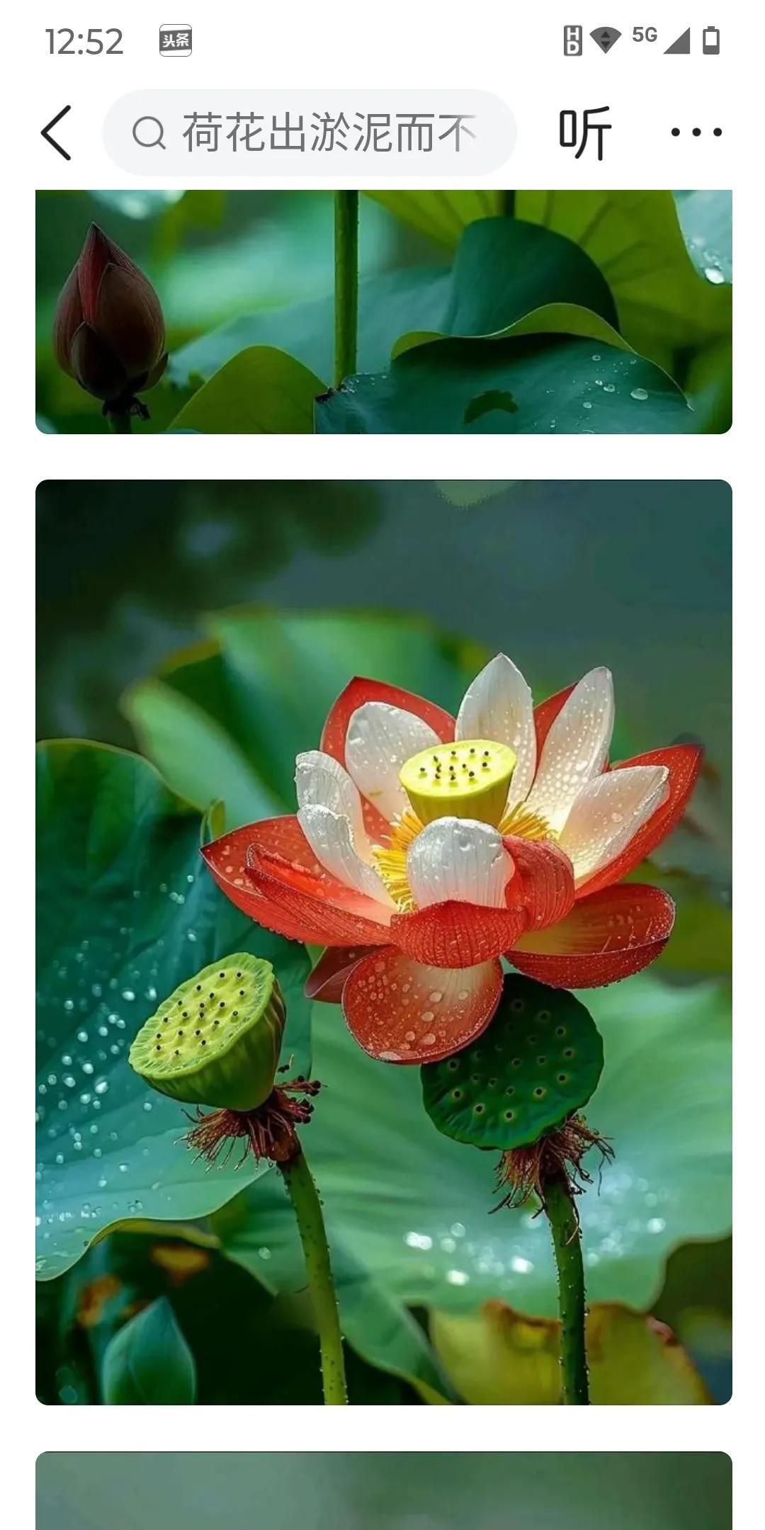 心外无物，心生万物
生命是自然而然地表达。
生命是顺其自然地呈现。
既然笃定心外