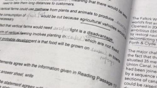 暴躁鸭雅思学员婉婷：备考雅思这段旅程，让我深刻体会老师的重要