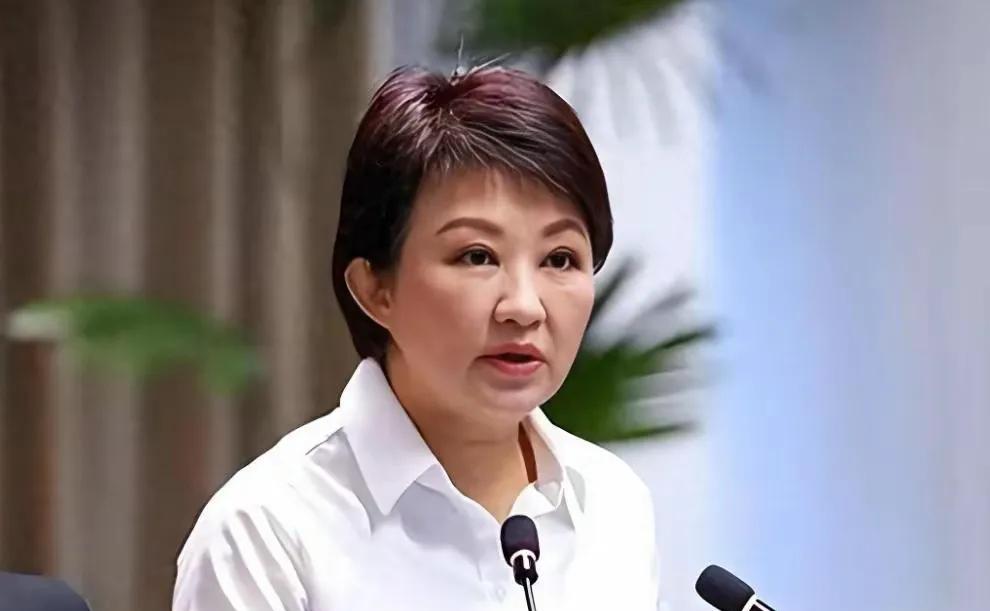 赵少康在台北搞反大罢免活动，邀请卢秀燕参加，卢秀燕欣然接受，并在活动中讲了话，表