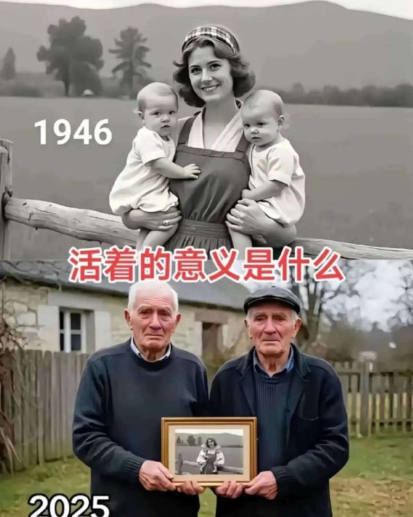 一张图陷入深思：人这一生的意义是什么？